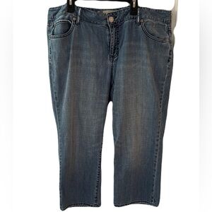GAP Blue Curvy Low Rise Denim Jeans